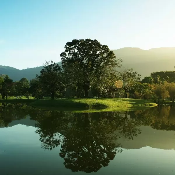 Taiping